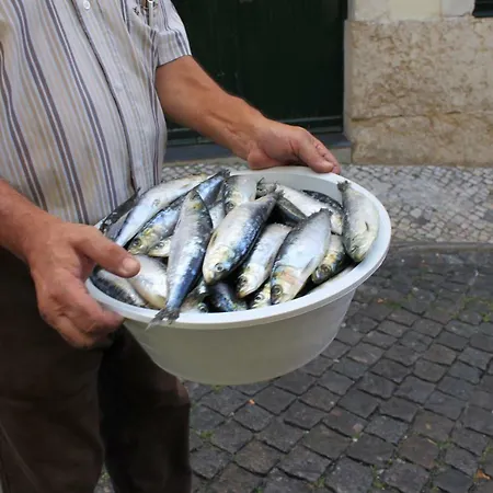 Rooftop In Alfama - Little Triplex Appartamento *